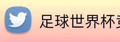 足球世界杯竞猜网站 Logo